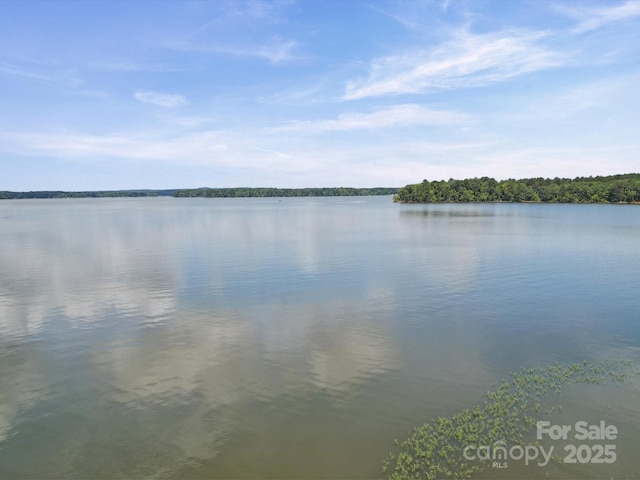 2442 Singleton Pt Unit 67, Liberty Hill, SC 29074 - water view