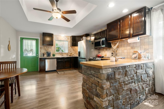 1116 S Juniper St, Kannapolis, NC 28081 - kitchen with appliances with stainless steel finishes, a tray ceiling, light countertops, a sink, and a ceiling fan