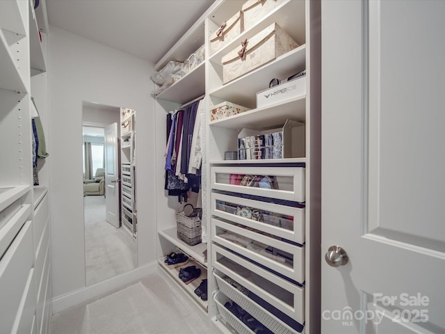 647 R L Stowe Rd, Belmont, NC 28012 - view of spacious closet