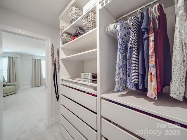 647 R L Stowe Rd, Belmont, NC 28012 - walk in closet with light colored carpet