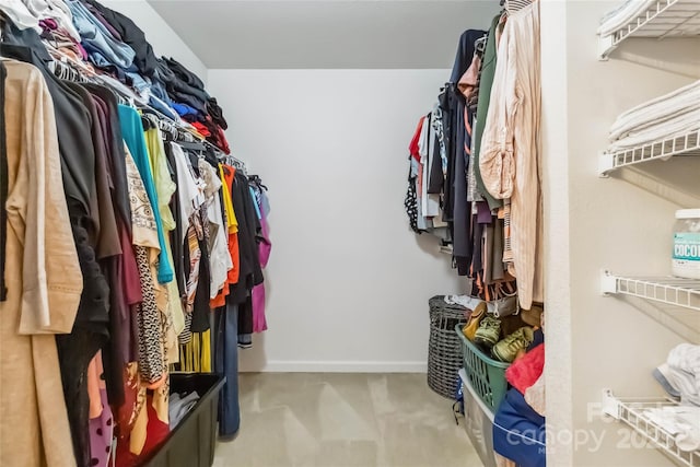 925 Skywatch Ln, Monroe, NC 28112 - walk in closet with carpet flooring