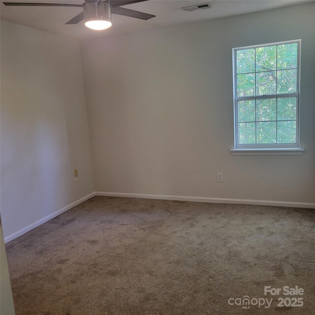 13039 Peacock Ln, Charlotte, NC 28215 - photo 18
