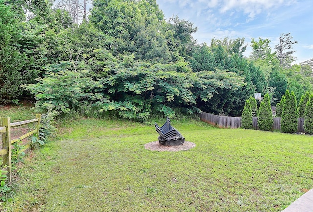 7434 Dover Mill Ln SW, Concord, NC 28025 - view of yard