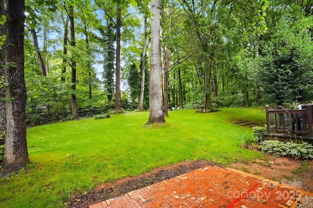 8708 Piccone Brook Ln, Charlotte, NC 28216 - view of green lawn