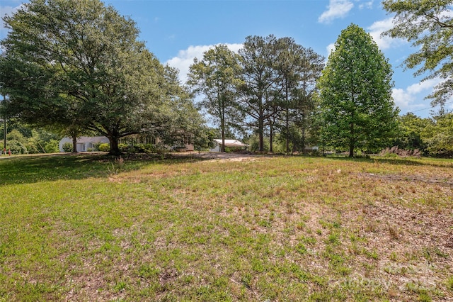 3595 Mt Holly Rd, Edgemoor, SC 29712 - view of yard