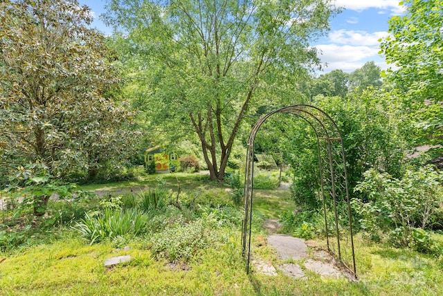 20 Pickens Ln, Weaverville, NC 28787 - view of yard