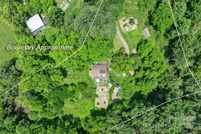 20 Pickens Ln, Weaverville, NC 28787 - bird's eye view
