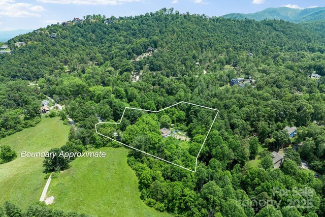 20 Pickens Ln, Weaverville, NC 28787 - aerial view of property and surrounding area with a heavily wooded area and property boundaries highlighted