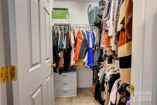 1209 Danielle Downs Ct SE, Concord, NC 28025 - spacious closet with carpet