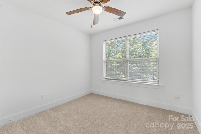 3153 Bending Birch Pl, Charlotte, NC 28206 - photo 11