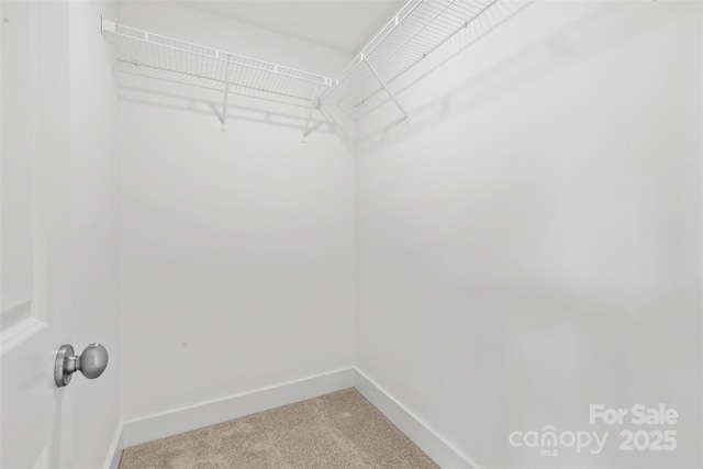 3153 Bending Birch Pl, Charlotte, NC 28206 - photo 15