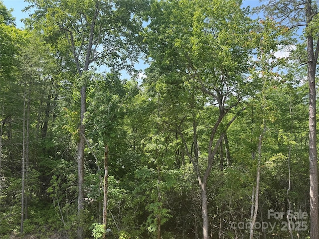 135 Wildwood Way, Lake Toxaway, NC 28747 - view of tree filled area
