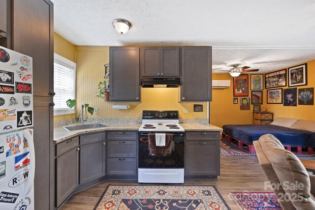 32 Roberts St, Fletcher, NC 28732 - kitchen featuring white electric range, a sink, refrigerator, under cabinet range hood, and wood finished floors