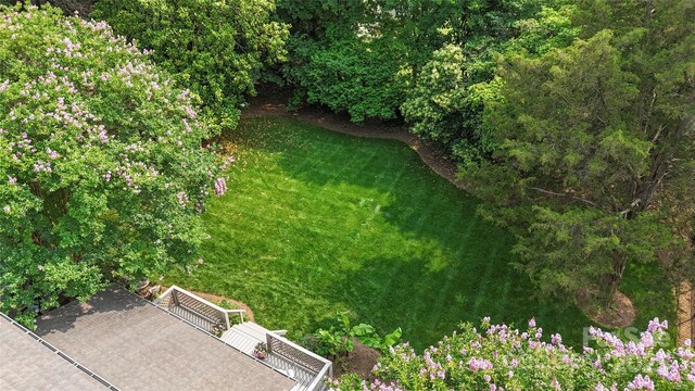 7213 Lancer Dr, Charlotte, NC 28226 - view of green lawn