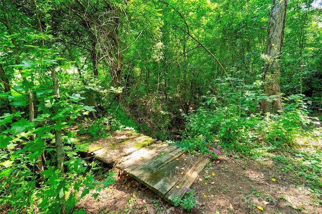 3043 Charles Rd, Shelby, NC 28152 - view of nature