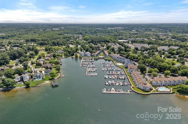 18853 Vineyard Point Ln, Cornelius, NC 28031 - bird's eye view of a nearby body of water and a marina