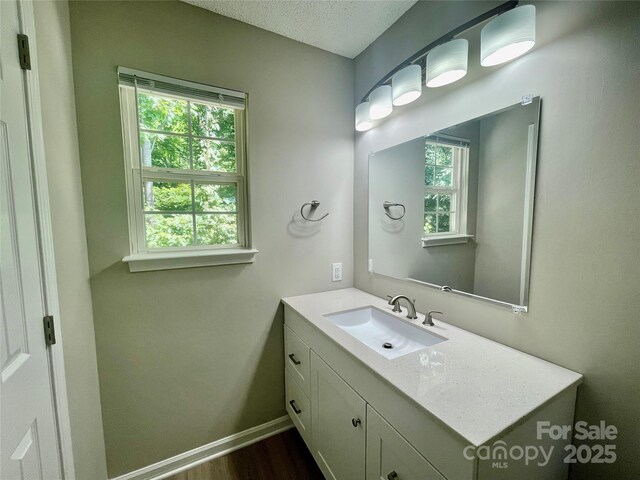 5800 Silver Eagle Dr, Charlotte, NC 28214 - bathroom with vanity, wood finished floors, and baseboards