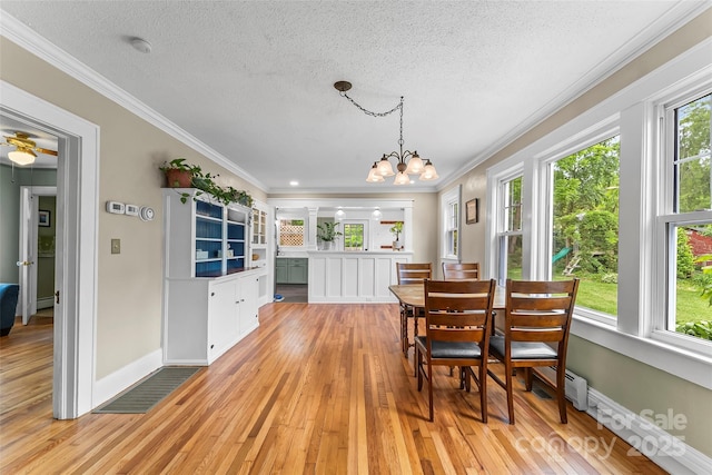 1621 Ridgewood Blvd, Hendersonville, NC 28791 - photo 6