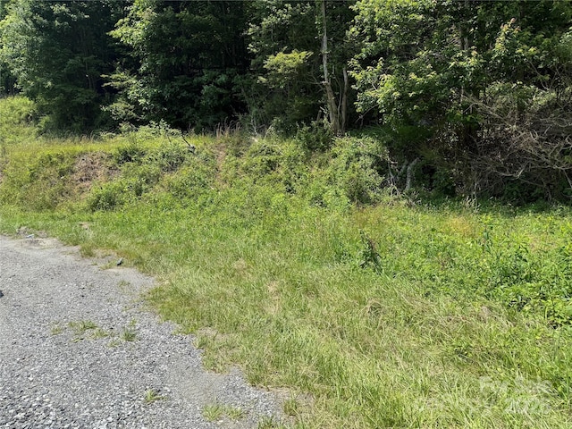 12055 US-25-70 Hwy, Marshall, NC 28753