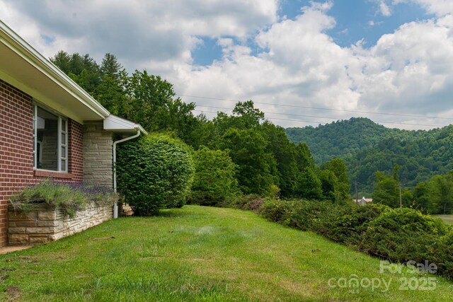 546 Scronce Creek Rd, Burnsville, NC 28714 - photo 3
