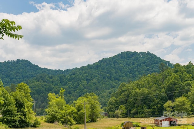 546 Scronce Creek Rd, Burnsville, NC 28714 - photo 4