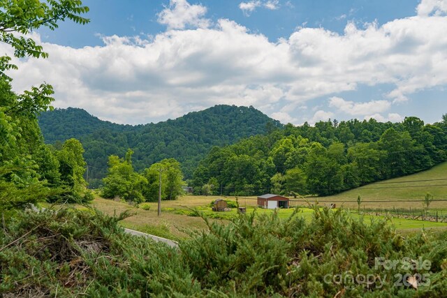 546 Scronce Creek Rd, Burnsville, NC 28714 - photo 7