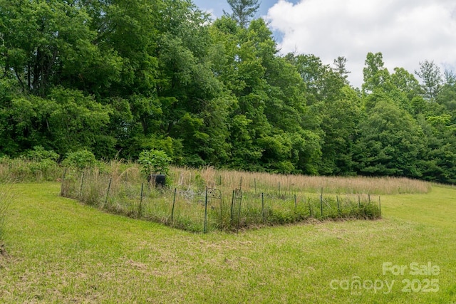 546 Scronce Creek Rd, Burnsville, NC 28714 - photo 42