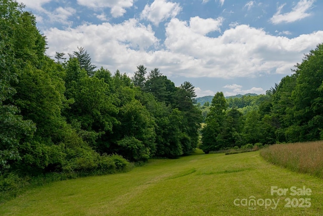 546 Scronce Creek Rd, Burnsville, NC 28714 - photo 43