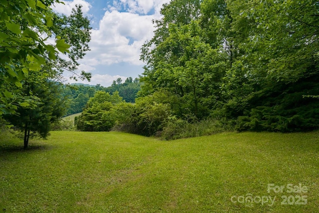 546 Scronce Creek Rd, Burnsville, NC 28714 - photo 44