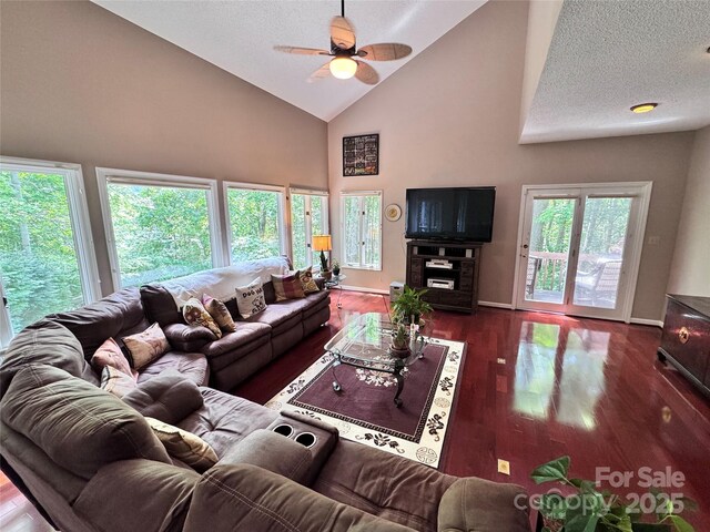 67 Cliffview Dr, Asheville, NC 28803 - living area with ceiling fan, high vaulted ceiling, wood finished floors, a textured ceiling, and baseboards