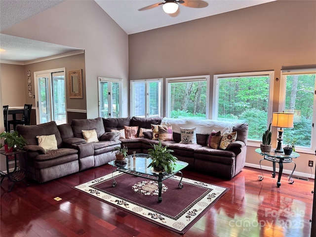 67 Cliffview Dr, Asheville, NC 28803 - living area with ceiling fan, wood finished floors, and high vaulted ceiling