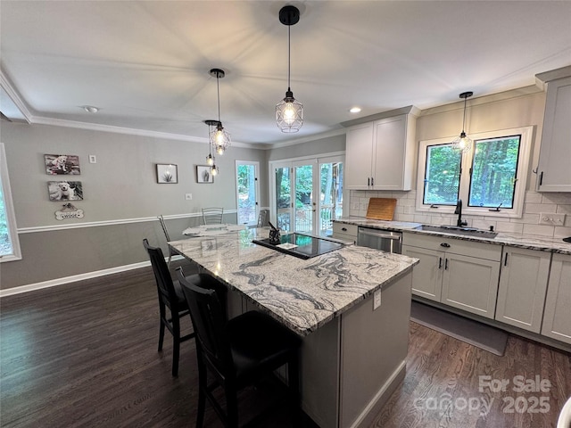 67 Cliffview Dr, Asheville, NC 28803 - kitchen featuring a sink, dark wood-type flooring, stainless steel dishwasher, light stone countertops, and backsplash