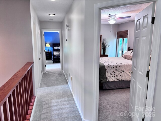 67 Cliffview Dr, Asheville, NC 28803 - hall featuring carpet floors, a textured ceiling, and baseboards