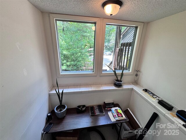 67 Cliffview Dr, Asheville, NC 28803 - home office with plenty of natural light and a textured ceiling