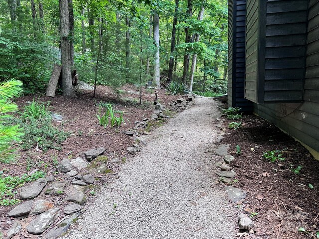 67 Cliffview Dr, Asheville, NC 28803 - view of yard