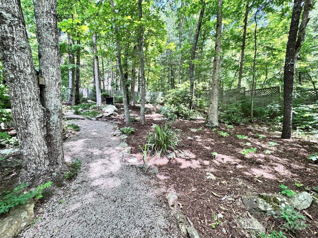 67 Cliffview Dr, Asheville, NC 28803 - view of nature