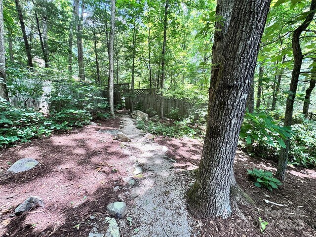 67 Cliffview Dr, Asheville, NC 28803 - view of tree filled area