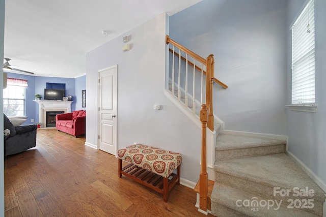 635 Brickdust Ct, Fort Mill, SC 29708 - staircase featuring ceiling fan, wood finished floors, and a fireplace