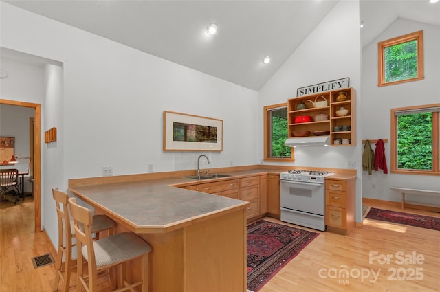 608 Brandywine Rd, Waynesville, NC 28786 - kitchen with white gas range oven, under cabinet range hood, a sink, light wood-style floors, and open shelves