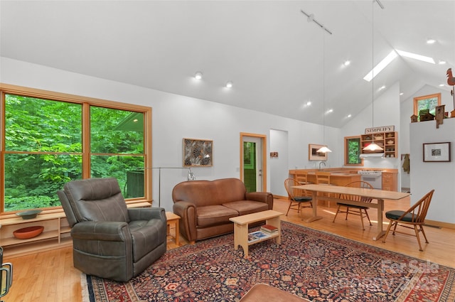 608 Brandywine Rd, Waynesville, NC 28786 - living room with hardwood / wood-style flooring, high vaulted ceiling, and a skylight