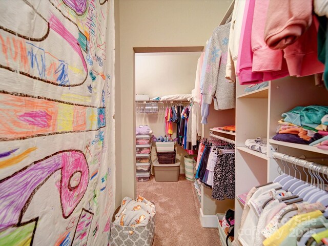 15708 Eagleview Dr, Charlotte, NC 28278 - spacious closet with carpet floors