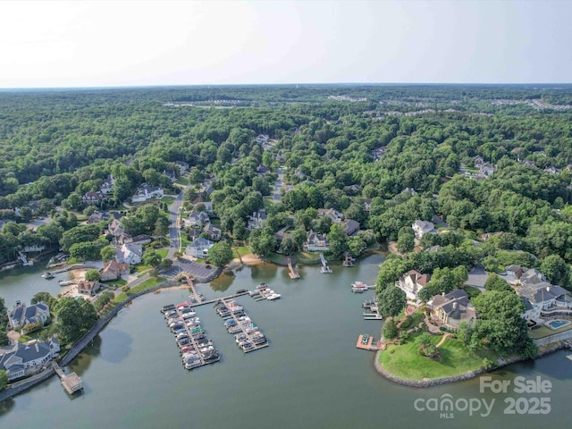 15708 Eagleview Dr, Charlotte, NC 28278 - bird's eye view of a forest and a nearby body of water