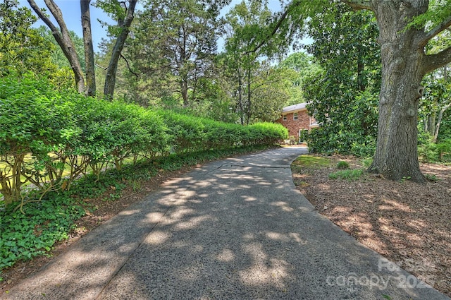 6434 Sardis Rd, Charlotte, NC 28270 - view of road