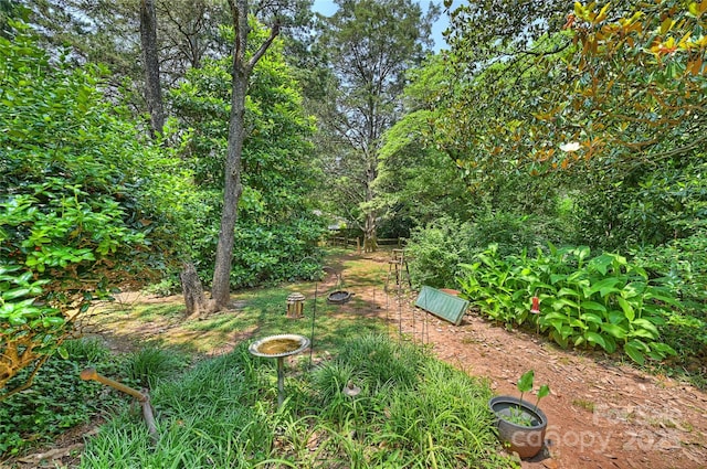 6434 Sardis Rd, Charlotte, NC 28270 - view of yard