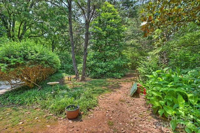 6434 Sardis Rd, Charlotte, NC 28270 - view of yard