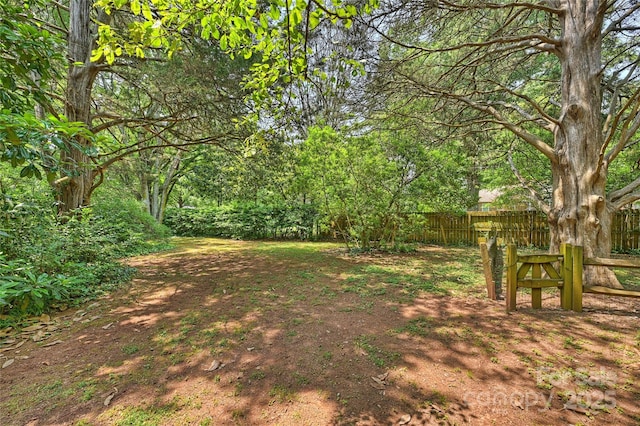6434 Sardis Rd, Charlotte, NC 28270 - view of yard