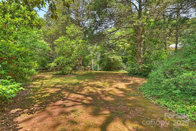 6434 Sardis Rd, Charlotte, NC 28270 - view of yard