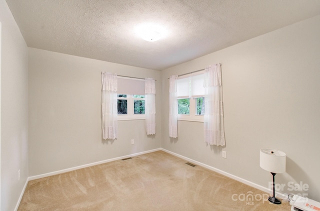 110 Spring Path, Hendersonville, NC 28739 - empty room featuring light colored carpet, baseboards, and a textured ceiling