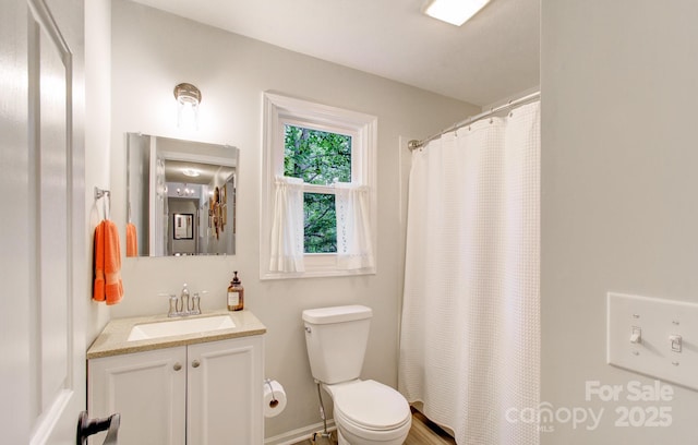 110 Spring Path, Hendersonville, NC 28739 - bathroom featuring toilet, vanity, and a shower with shower curtain