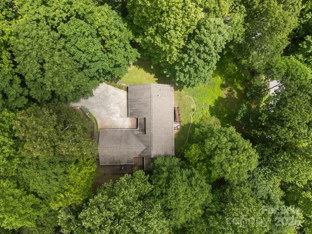 110 Spring Path, Hendersonville, NC 28739 - view from above of property